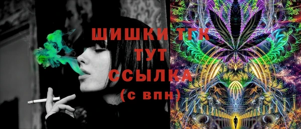 тгк Арсеньев