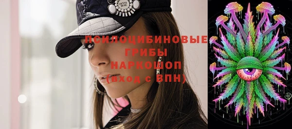 тгк Арсеньев