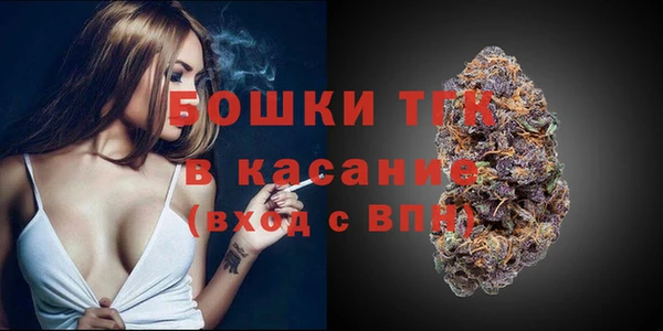 тгк Арсеньев